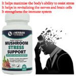 Mushroom Stress Support